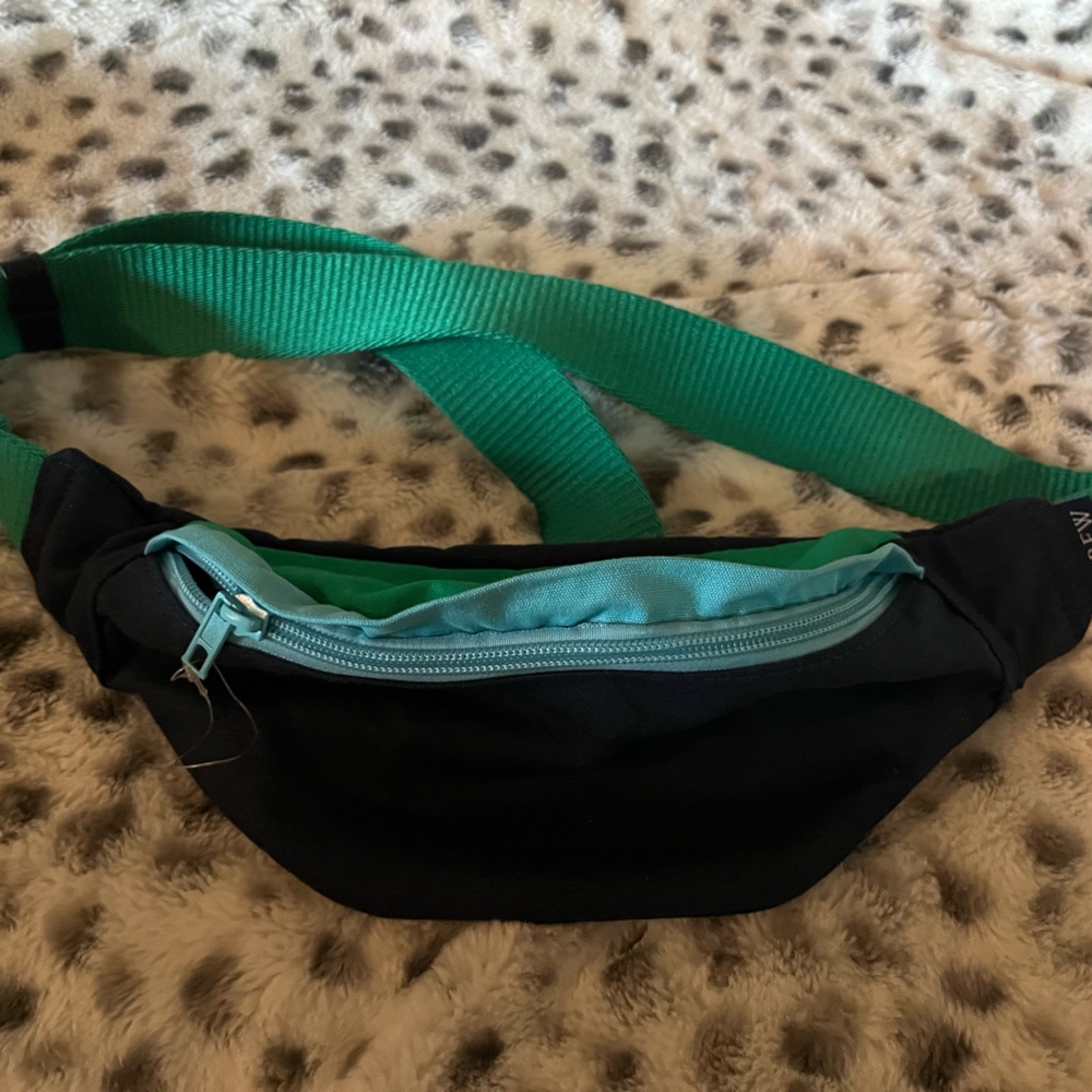 J. Crew Colorblock belt bag